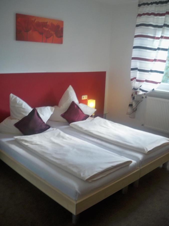 Hotel Zur Donau Dillingen an der Donau Kültér fotó